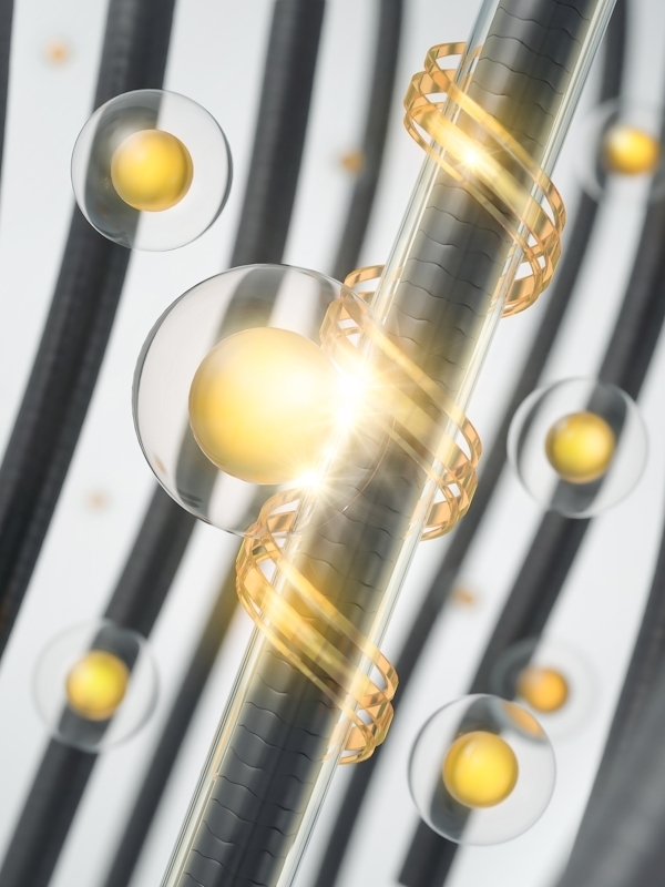 Εξειδικευμένη Περιποίηση